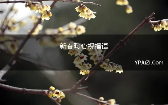 新春暖心祝福语 2022年春节祝福语句句暖心
